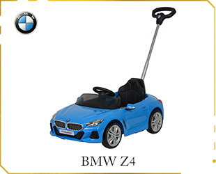 PUSH CAR,BMW Z4 LICENSE