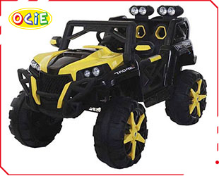 RECHARGEABLE CAR W/ RC