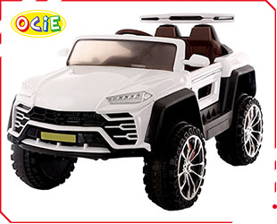 RECHARGEABLE CAR W/ RC