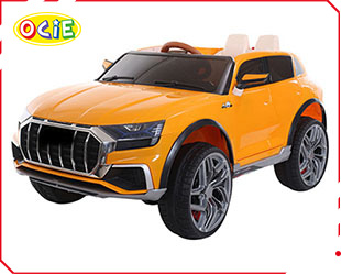 RECHARGEABLE CAR W/ RC