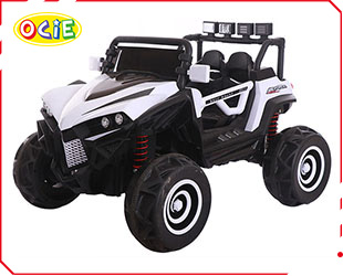 RECHARGEABLE CAR W/ RC