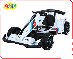 RECHARGEABLE CAR W /RC