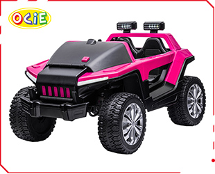 RECHARGEABLE CAR W/ RC