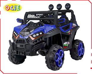 RECHARGEABLE CAR R/C