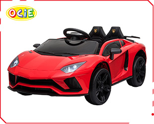 RECHARGEABLE CAR W/ RC