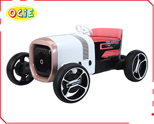 RECHARGEABLE CAR W/ RC