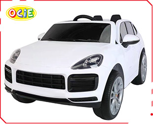 RECHARGEABLE CAR W/ RC