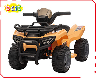 RECHARGEABLE ATV