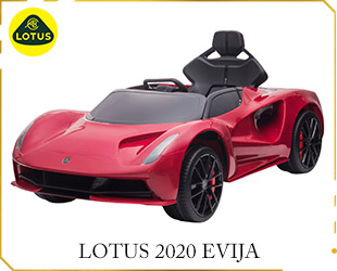 RECHARGEABLE LICENSE LOTUS