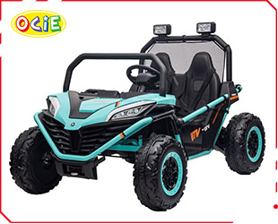 RECHARGEABLE UTV