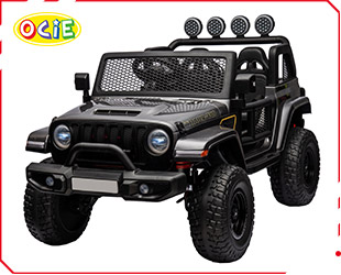 RECHARGEABLE CAR R/C