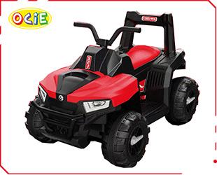 RECHARGEABLE ATV