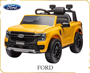 RECHARGEABLE FORD