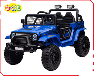 RECHARGEABLE CAR R/C