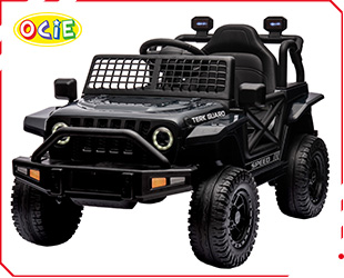 RECHARGEABLE CAR R/C