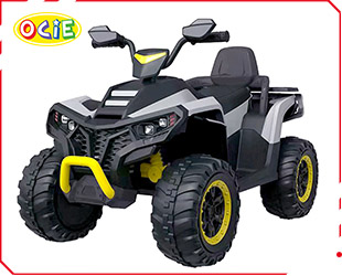 RECHARGEABLE ATV