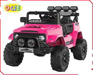 RECHARGEABLE CAR W/ RC