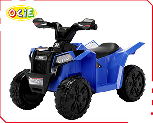 RECHARGEABLE CAR