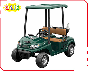 RECHARGEABLE CAR W/ RC