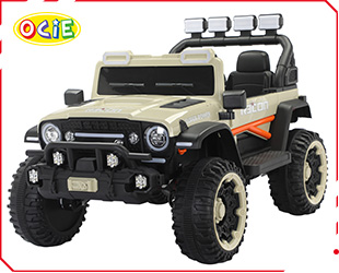 RECHARGEABLE CAR W/ RC