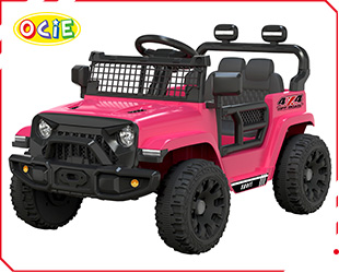 RECHARGEABLE CAR W/ RC