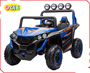 RECHARGEABLE CAR W/ RC