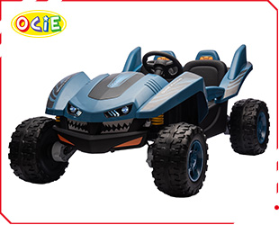 RECHARGEABLE CAR W/ RC