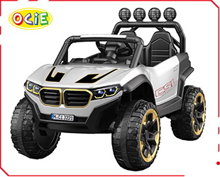 RECHARGEABLE CAR W/ RC