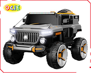 RECHARGEABLE CAR W/ RC