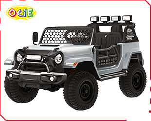RECHARGEABLE CAR W/ RC