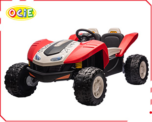 RECHARGEABLE CAR W/ RC