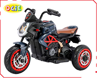 RECHARGEABLE MOTORCYCLE 