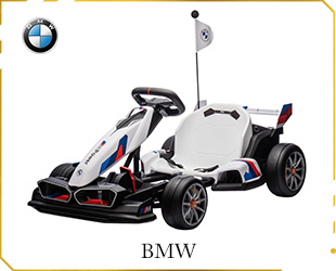 RECHARGEABLE GO-KART BMW LICENSE