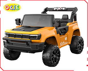 RECHARGEABLE CAR W/ RC
