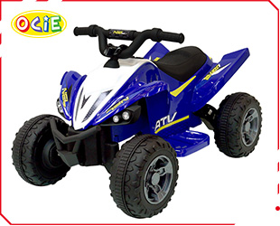 RECHARGEABLE CAR