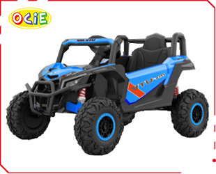 RECHARGEABLE UTV W/ RC