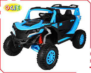 RECHARGEABLE CAR W/ RC