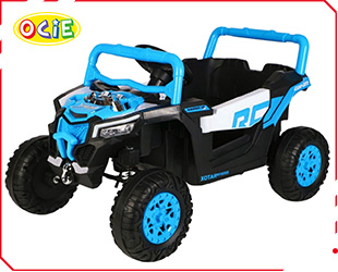 RECHARGEABLE CAR W/ RC