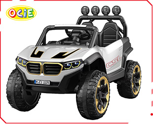 RECHARGEABLE CAR W/ RC