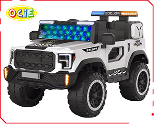 RECHARGEABLE CAR W/ RC