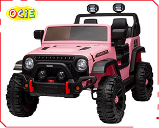 RECHARGEABLE CAR W/ RC