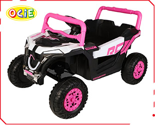 RECHARGEABLE CAR W/ RC