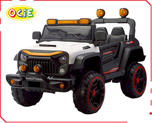 RECHARGEABLE CAR W/ RC