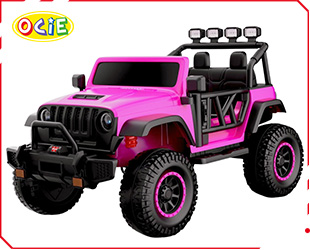 RECHARGEABLE CAR W/ RC