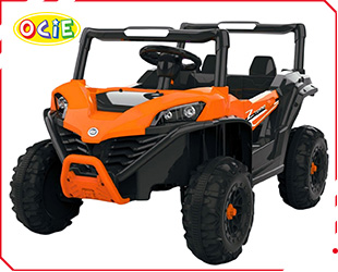 RECHARGEABLE CAR W/ RC