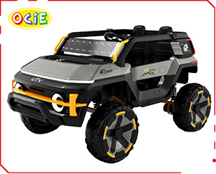 RECHARGEABLE CAR W/ RC
