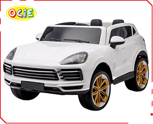 RECHARGEABLE CAR W/ RC