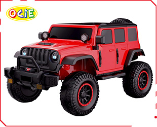 RECHARGEABLE CAR W/ RC