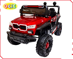RECHARGEABLE CAR W/ RC