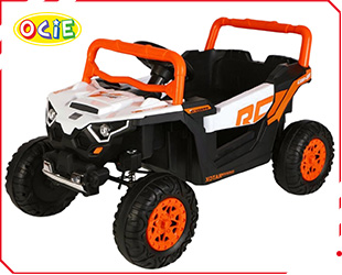 RECHARGEABLE CAR W/ RC